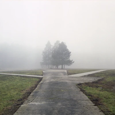 A Wounded Landscape