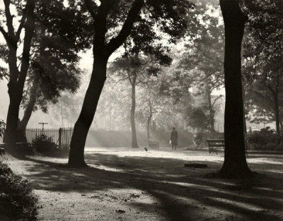 Autumn Morning
