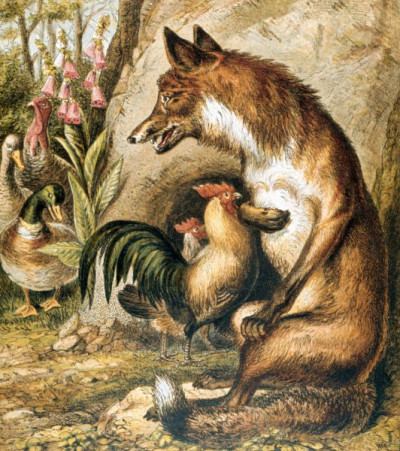Henny-Penny Picture Book