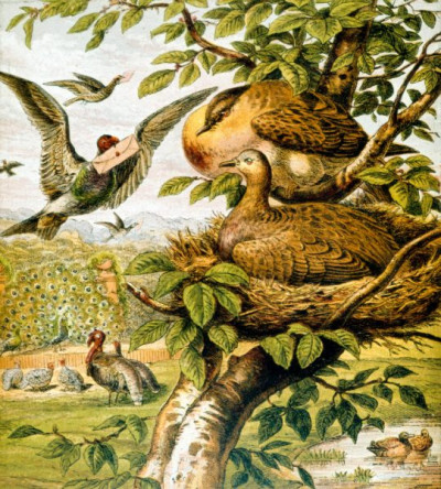 Henny-Penny Picture Book