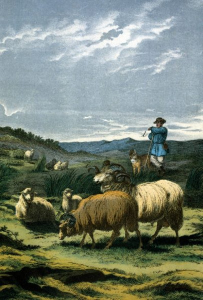 Central Europe: Heaths