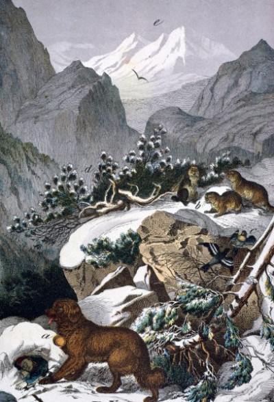 Central Europe: The Alps
