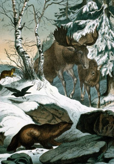 Lapland