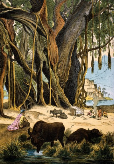Southern Asia: East Indies