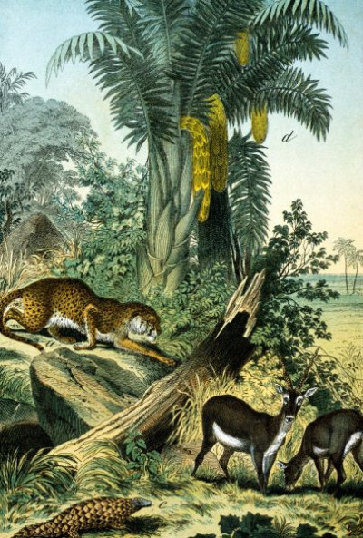 Southern Asia: East Indies