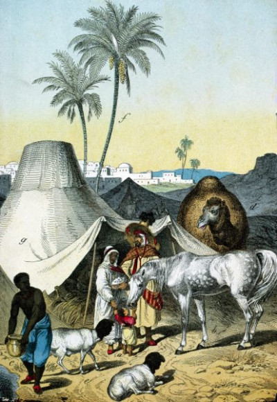 Northern Africa: Oasis, Arabia