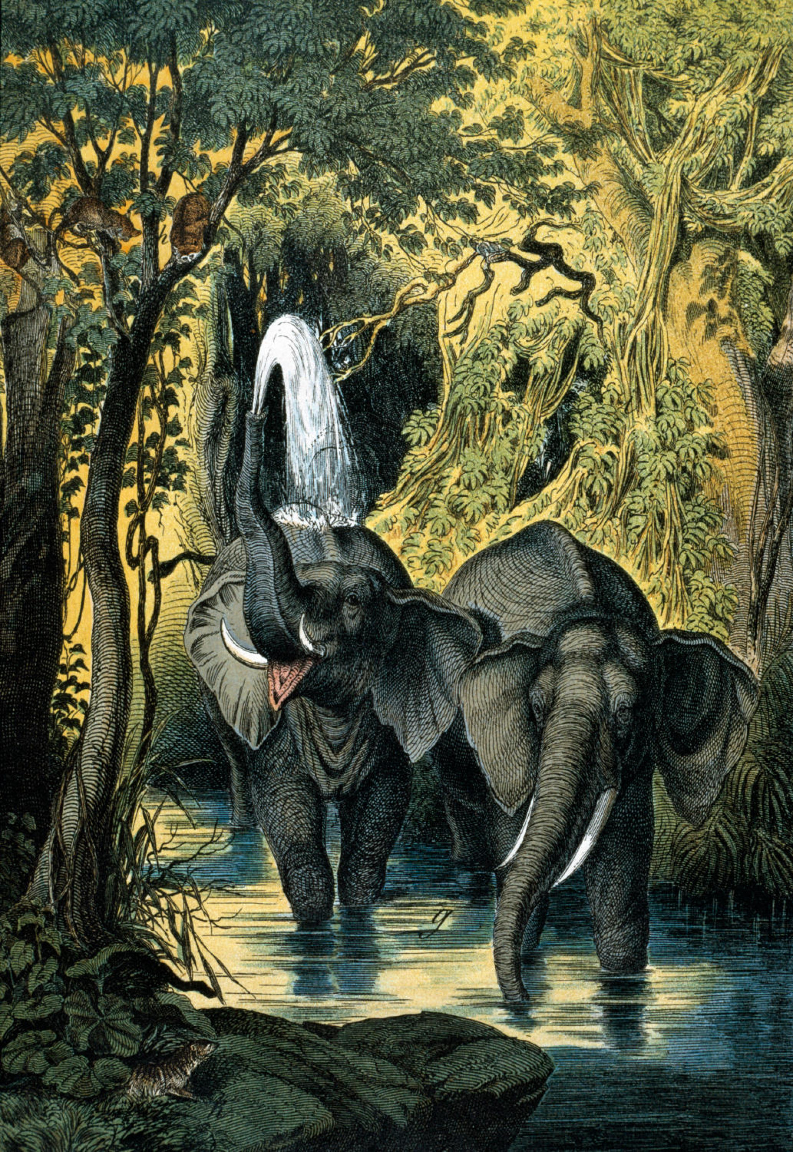 The Instructive Picture Book image