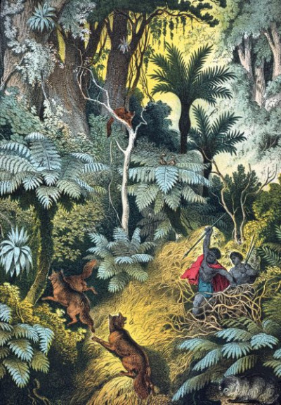 South America: Pampas