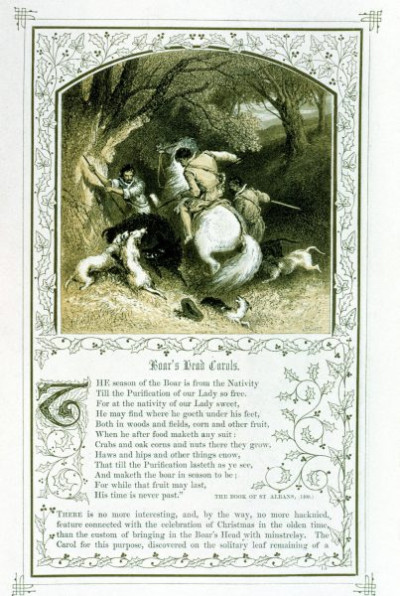 Boar hunt