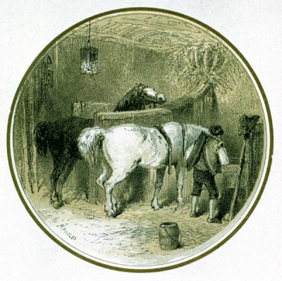 Fathering horses