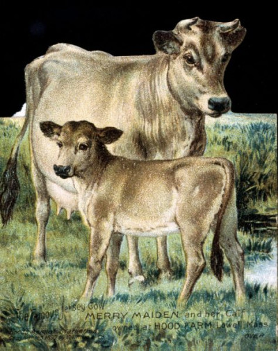 Greetings Cards, c 1900-1910