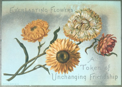 Victorian Christmas Cards