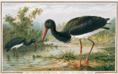 Victorian Greeting Cards