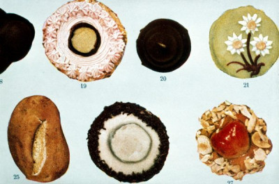 Cake Decoration