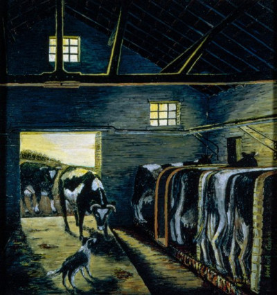 Cows