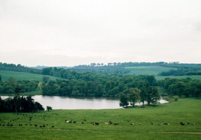 Yorkshire Landscape Gardens 9