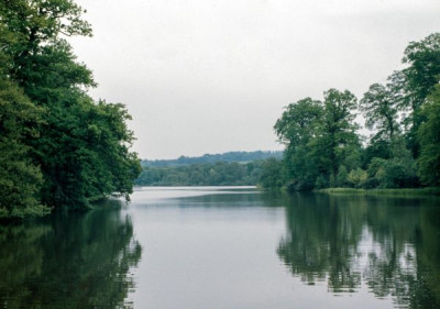 Yorkshire Landscape Gardens 13