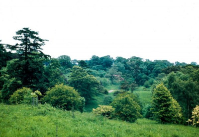 Yorkshire Landscape Gardens 17