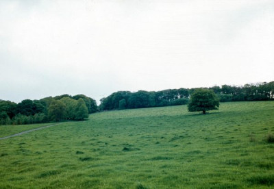 Yorkshire Landscape Gardens 24
