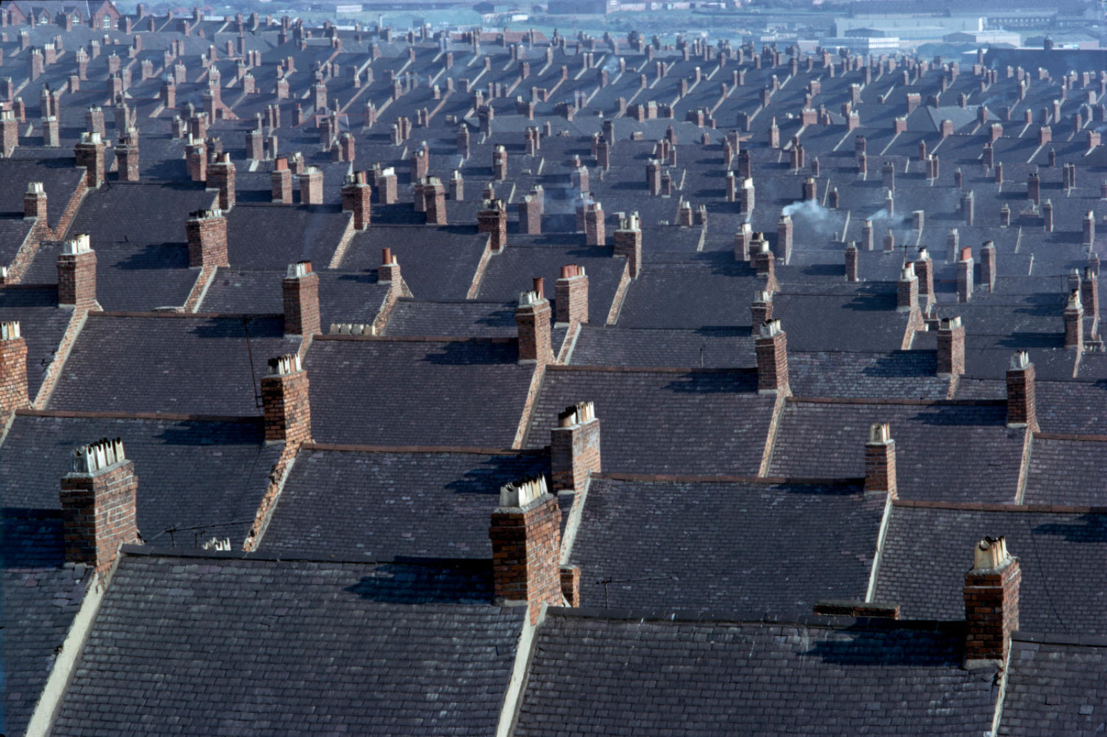 Terraced Houses I image