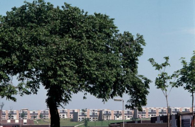 Modern Urban Housing - Peterlee