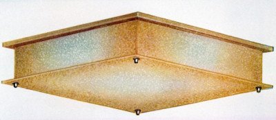 Decorative Electric Light Fittings 19
