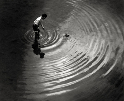 Sticklebacks, 1950