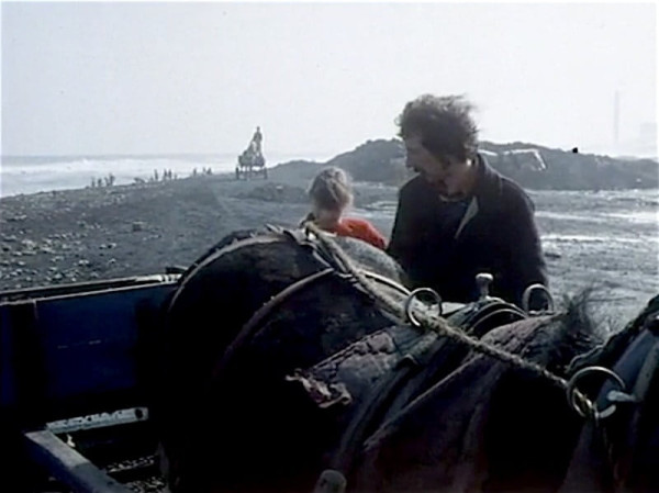 Seacoal (1985) image