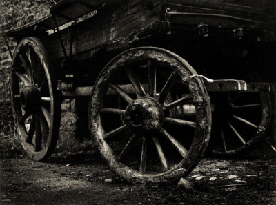 Wagon Wheels, 1954