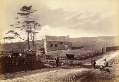 Gibson Collection: Near Edlingham, late 1800s