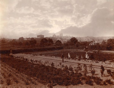 Gibson Collection: Hexham from Fell Nursery gardens, late 1800s