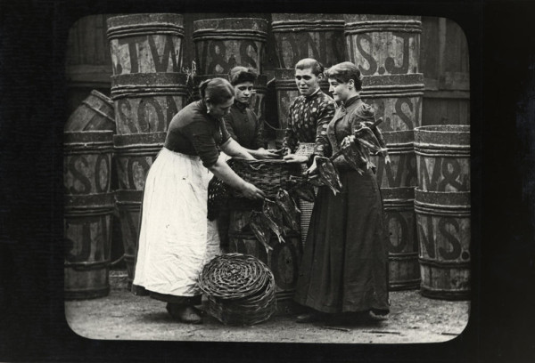 Edgar Lee Collection image