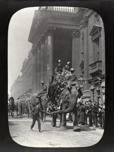 Lee Collection: Elephant Parade on Grey Street, Newcastle, c. 1890s