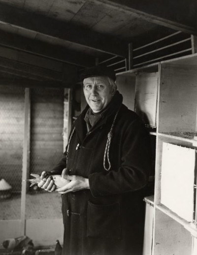 Easington: Mr. Harriman in his Pigeon Loft, 1984