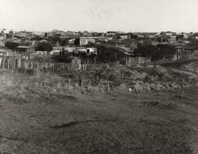 Easington: Allotments and Pigeon Lofts, 1984