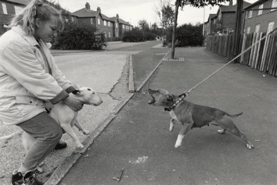 Meadow Well: Teasing dogs, Bridge Raod South, 1988-1991