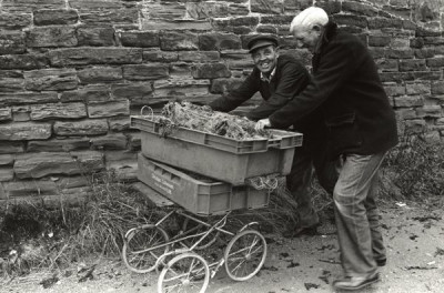 Workington & Maryport, 1983-1986