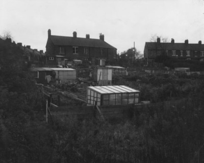 Urban Landscapes, 1979