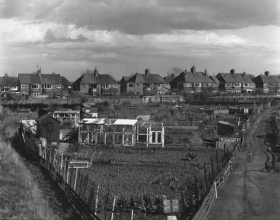 Urban Landscapes: Allotments, Monkseaton, 1979