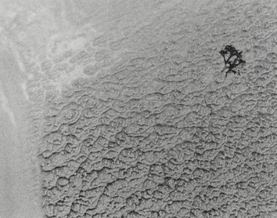 Writing in the Sand: Tynemouth, 1997