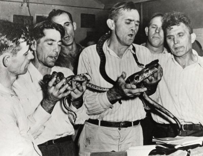 Russell Lee Collection: Handling serpents at the Pentecostal Church of God, Lejunior, Harlan County, Kentucky, 15th September 1946