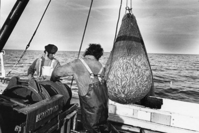 Fishing Industry, 1979