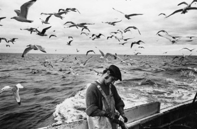 Fishing Industry