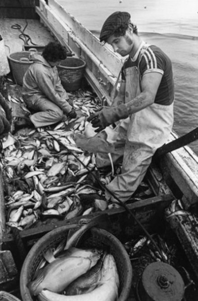 Fishing Industry, 1979