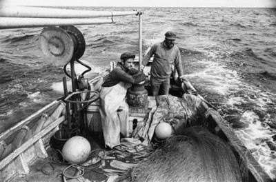 Fishing Industry, 1979