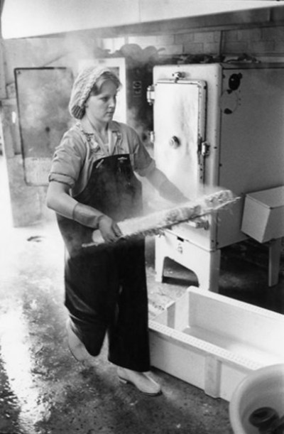 Fishing Industry, 1979