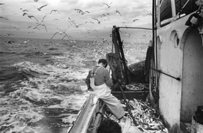 Fishing Industry, 1979