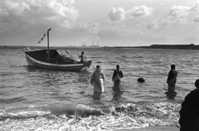 Fishing Industry: Bringing in a Coble, Newbiggin, Northumberland, 1979