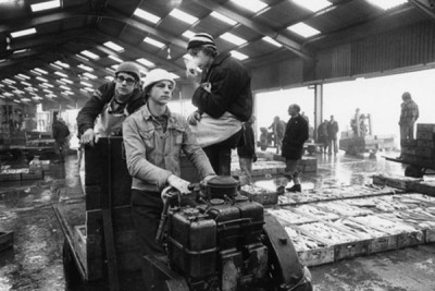 Fishing Industry: Fish Boys, North Shields Quay, 1979