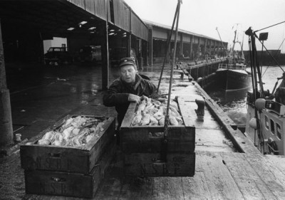 Fishing Industry, 1979